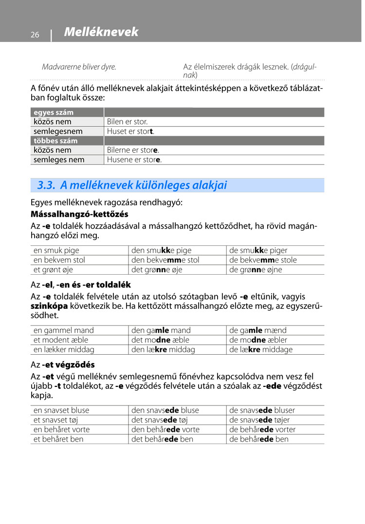 Dán nyelvtani áttekintés