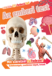 Fedezd fel! Az emberi test